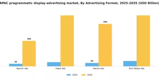 APAC Programmatic Display Advertising Market Segment Image 0
