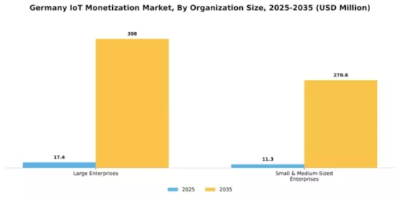 Germany Iot Monetization Market Segment Image 3