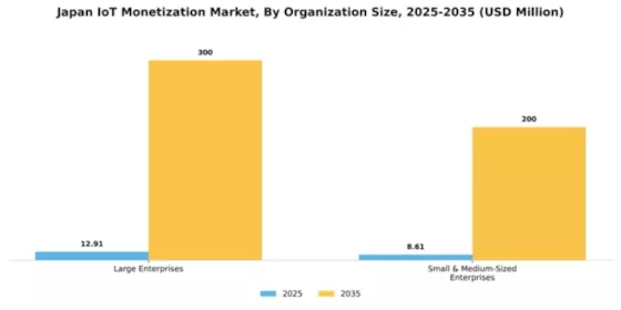 Japan Iot Monetization Market Segment Image 3