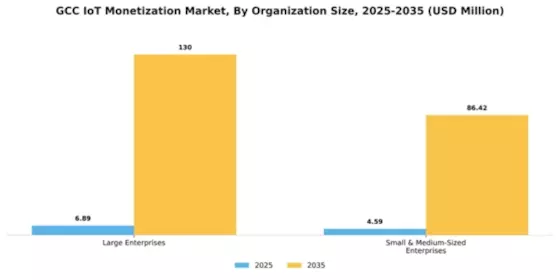 GCC Iot Monetization Market Segment Image 3