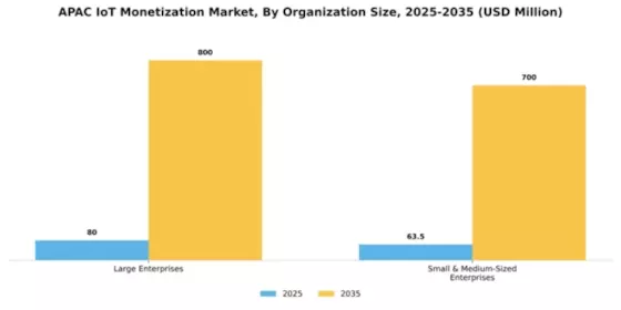 APAC Iot Monetization Market Segment Image 3