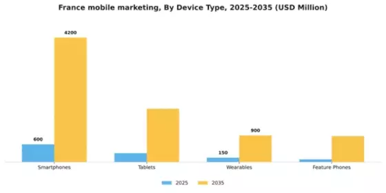 France Mobile Marketing Market Segment Image 0