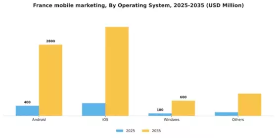 France Mobile Marketing Market Segment Image 2