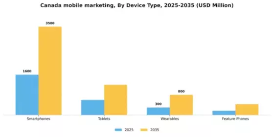 Canada Mobile Marketing Market Segment Image 0