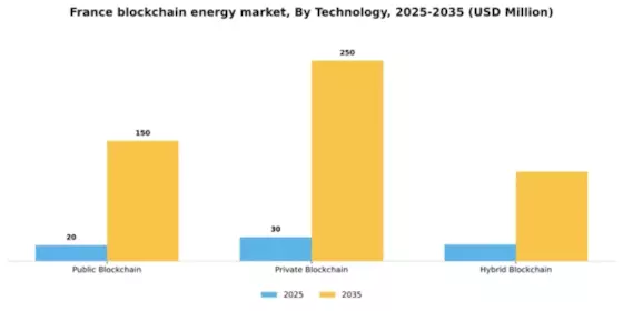 France Blockchain In Energy Market Segment Image 3