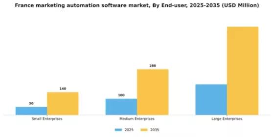 France Marketing Automation Software Market Segment Image 2
