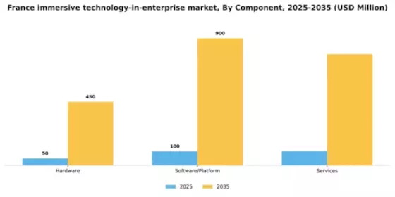 France Immersive Technology In Enterprise Market Segment Image 1