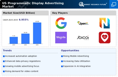 US Programmatic Display Advertising Market Infographic