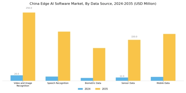 China Edge AI Software Market Segment Image 0