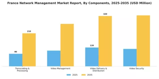 France Network Management Market Segment Image 0
