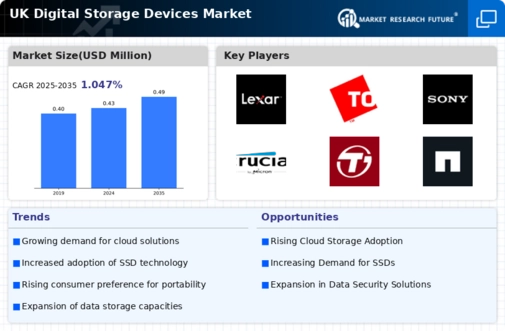 UK Digital Storage Devices Market Infographic