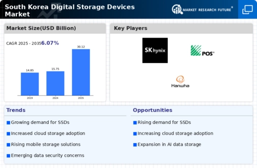 South Korea Digital Storage Devices Market Infographic