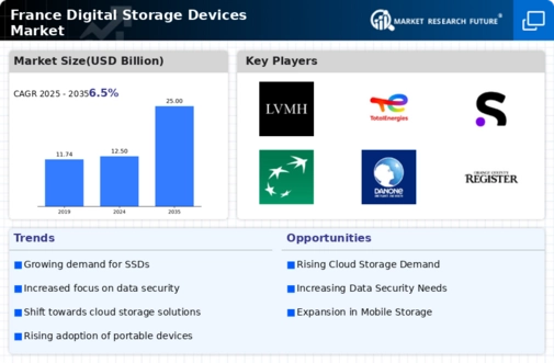 France Digital Storage Devices Market Infographic