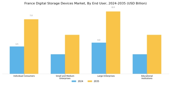 France Digital Storage Devices Market Segment Image 2