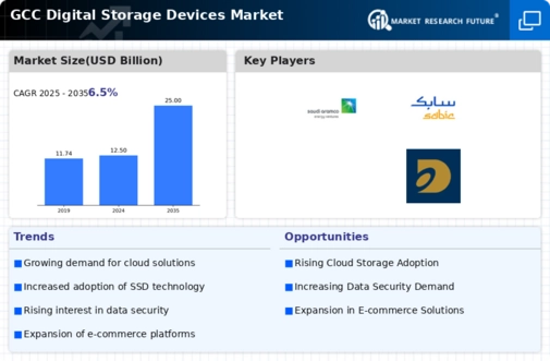 GCC Digital Storage Devices Market Infographic
