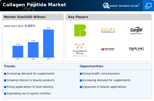 Collagen Peptide Market Infographic