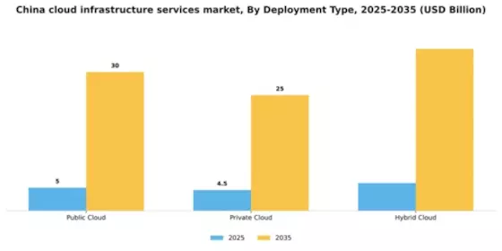 China Cloud Infrastructure Services Market Segment Image 0