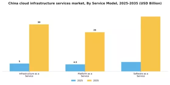 China Cloud Infrastructure Services Market Segment Image 3
