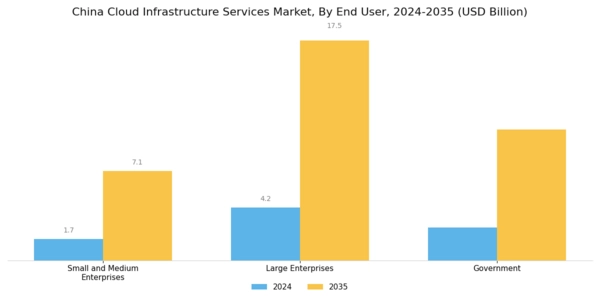 China Cloud Infrastructure Services Market Segment Image 2