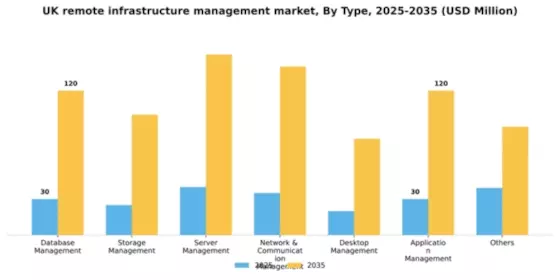 UK Remote Infrastructure Management Market Segment Image 1