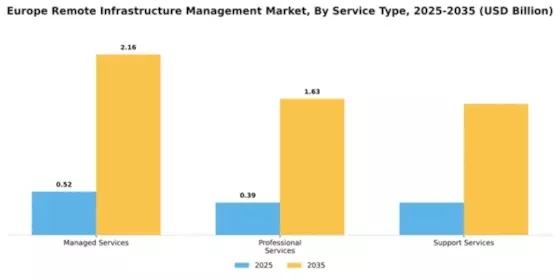 Europe Remote Infrastructure Management Market Segment Image 3