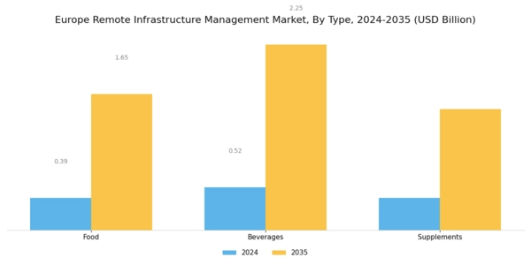 Europe Remote Infrastructure Management Market Segment Image 0