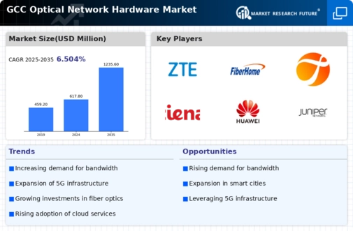 GCC Optical Network Hardware Market Infographic