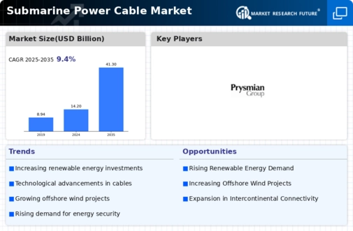 Submarine Power Cable Market Infographic