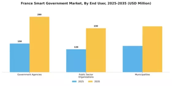 France Smart Government Market Segment Image 1