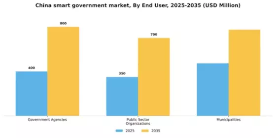 China Smart Government Market Segment Image 1