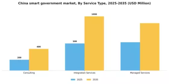 China Smart Government Market Segment Image 2