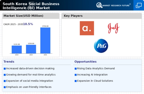 South Korea Social Business Intelligence Market Infographic