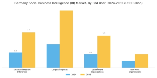 Germany Social Business Intelligence Market Segment Image 2