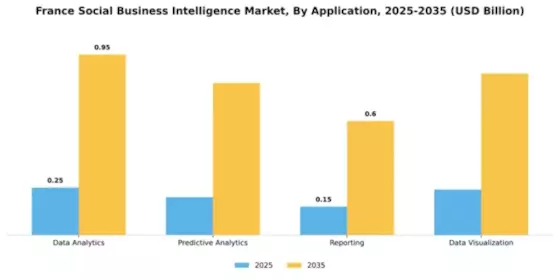 France Social Business Intelligence Market Segment Image 0