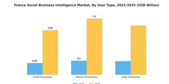 France Social Business Intelligence Market Segment Image 4
