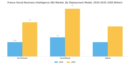 France Social Business Intelligence Market Segment Image 1