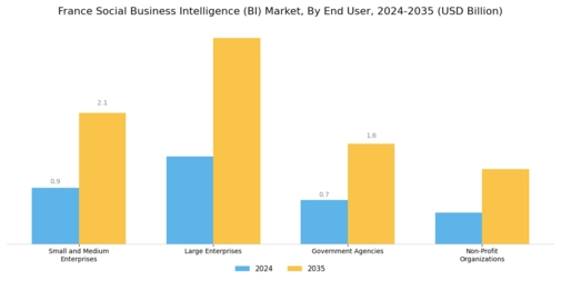 France Social Business Intelligence Market Segment Image 2