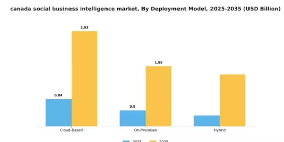 Canada Social Business Intelligence Market Segment Image 2