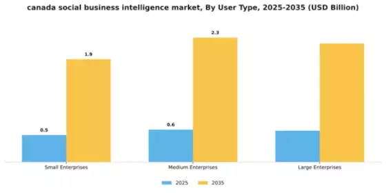 Canada Social Business Intelligence Market Segment Image 4