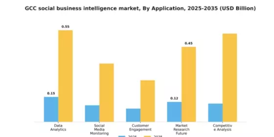GCC Social Business Intelligence Market Segment Image 0