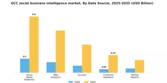 GCC Social Business Intelligence Market Segment Image 1