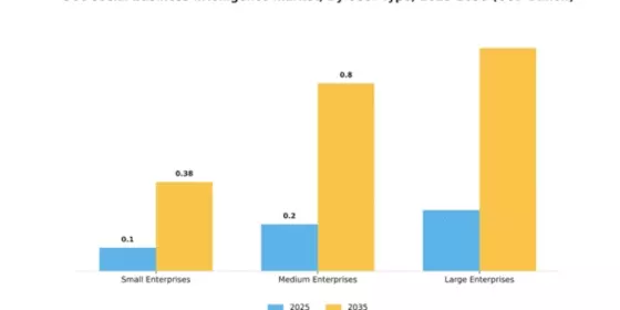GCC Social Business Intelligence Market Segment Image 4