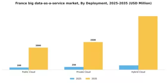 France Big Data As A Service Market Segment Image 0