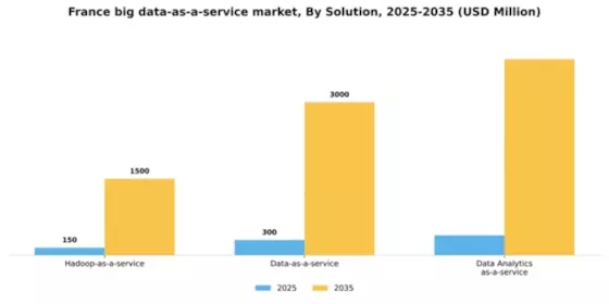 France Big Data As A Service Market Segment Image 1