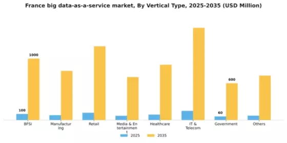 France Big Data As A Service Market Segment Image 2