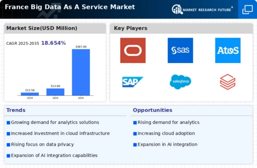 France Big Data As A Service Market Infographic