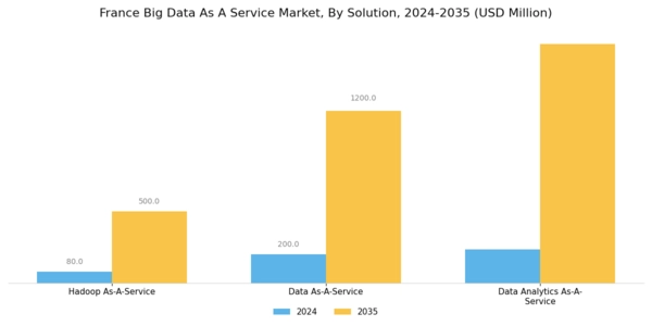 France Big Data As A Service Market Segment Image 0