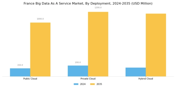 France Big Data As A Service Market Segment Image 1