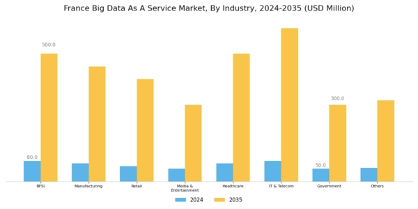 France Big Data As A Service Market Segment Image 2