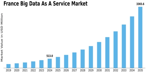 France Big Data As A Service Market Size